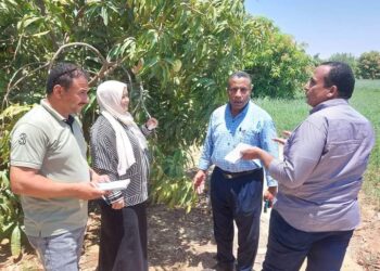 لجنة القناة وسيناء تتابع الزراعات بمديرية زراعة السويس