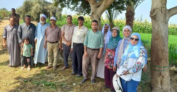 زراعة بني سويف: ندوة إرشادية عن محصولي القطن والذرة 1 زراعة بني سويف: ندوة إرشادية عن محصولي القطن والذرة