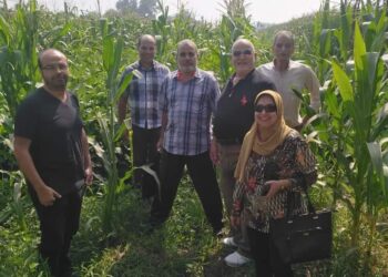 فريق إرشادي ريفي بزراعة المنوفية