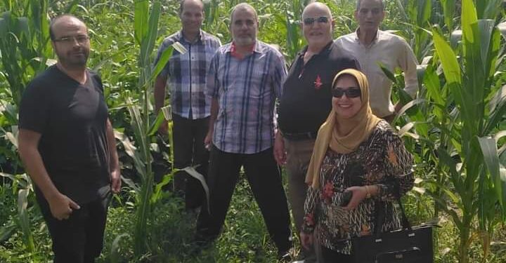 زراعة المنوفية: فريق إرشادي ريفي لمحصولي الذرة الشامية وفول الصويا بإدارة منوف الزراعية 1 فريق إرشادي ريفي بزراعة المنوفية