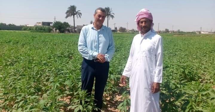 زراعة مطروح: تتابع صرف الأسمدة..وإجراءات التسجيل بمنظومة كارت الفلاح 1 زراعة مطروح تتابع صرف الأسمدة