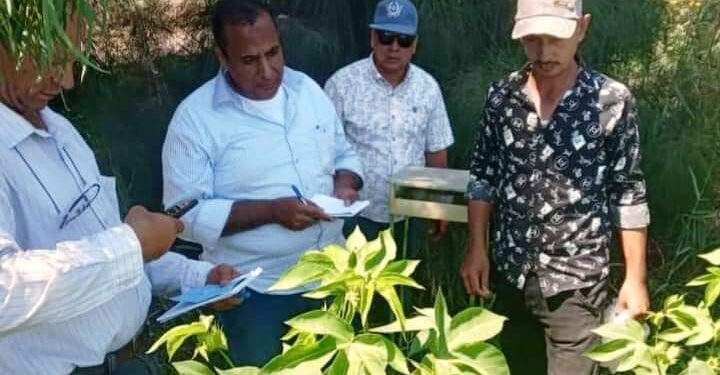 زراعة بورسعيد ولجنة القناة وسيناء يتابعان الزراعات الصيفية بالمديرية 1 زراعة بورسعيد تتابع الزراعات الصيفية