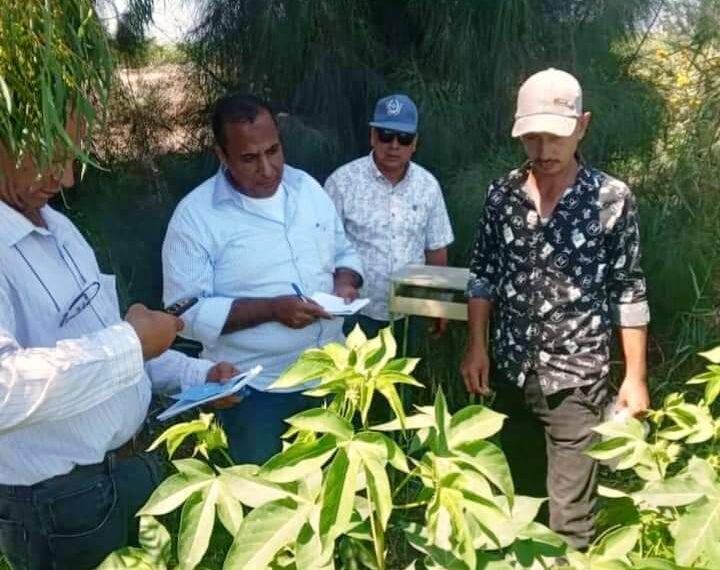 زراعة بورسعيد ولجنة القناة وسيناء يتابعان الزراعات الصيفية بالمديرية 1 زراعة بورسعيد تتابع الزراعات الصيفية