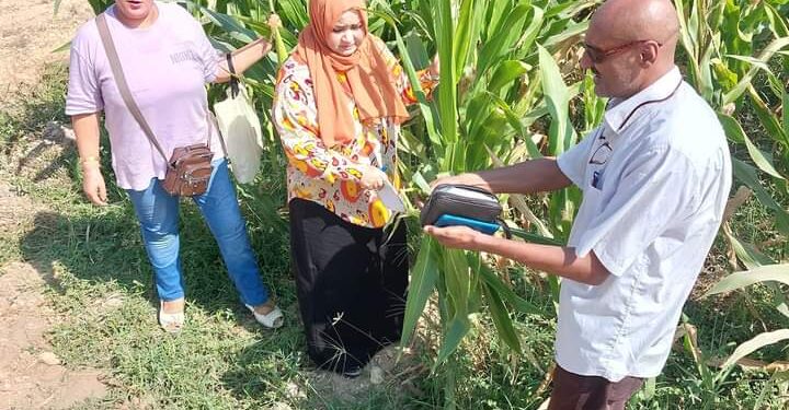 زراعة السويس تتابع الزراعات الصيفية..وحملة تفتيشية على محال بيع المبيدات 1 زراعة السويس تتابع الزراعات الصيفية