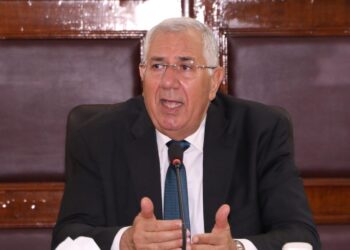 وزير الزراعة: تنفيذ توجيهات الرئيس السيسي بتحصيل مستحقات الدولة وانهاء إجراءات التقنيين