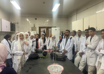 تكنولوجيا الأغذية