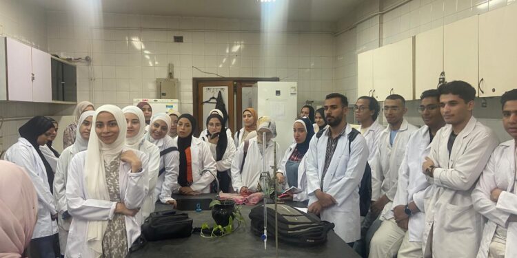 تكنولوجيا الأغذية