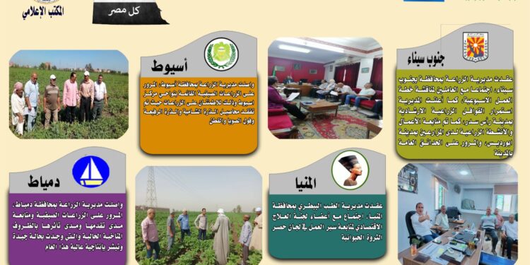 انفوجراف وفيديو| تعرف على أنشطة وجهود مديريات الزراعة والطب البيطري خلال أسبوع