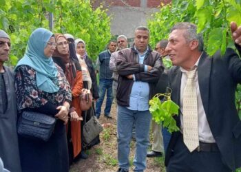 حصاد نشاط معهد بحوث أمراض النباتات عن شهر يونيو