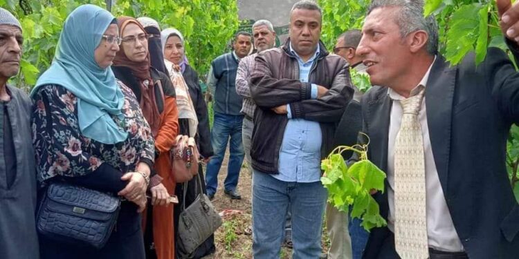 حصاد نشاط معهد بحوث أمراض النباتات عن شهر يونيو 1 حصاد نشاط معهد بحوث أمراض النباتات عن شهر يونيو