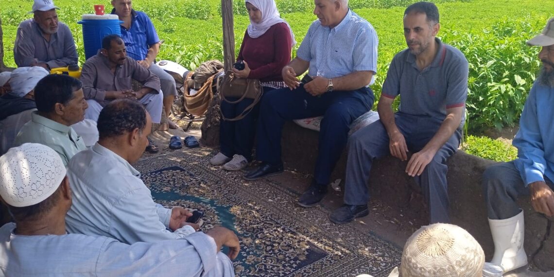 زراعة الشرقية: فريق إرشادي لزراعات الأرز بإدارة أبو حماد الزراعية 1 فريق إرشادي ريفي بمديرية زراعة الشرقية