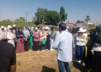 بحوث الحشائش