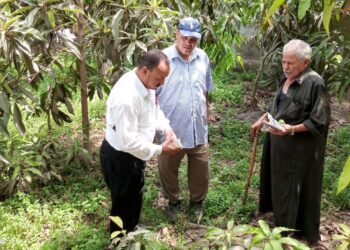 مكافحة الآفات