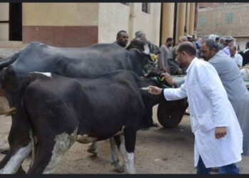 الحمى القلاعية