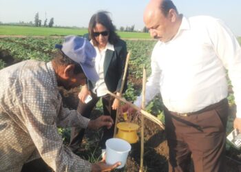 د شيرين عاصم وكيل مركز البحوث الزراعية تتابع زراعات زراعة الدقهلية