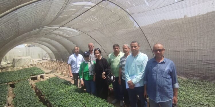 "الزراعة" تواصل المرور ومتابعة مشاتل الخضر والصوب الزراعية بالمحافظات 1 الزراعة تتابع المشاتل والصوب الزراعية