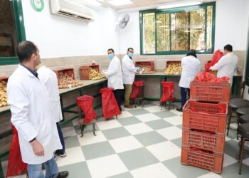 “الزراعة” تستعرض تقريرا حول انجازات مشروع حصر ومكافحة العفن البني في البطاطس
