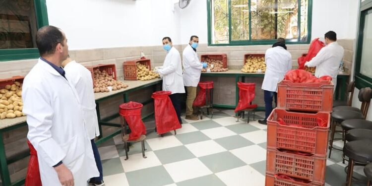 "الزراعة" تستعرض تقريرا حول انجازات مشروع حصر ومكافحة العفن البني في البطاطس 1 “الزراعة” تستعرض تقريرا حول انجازات مشروع حصر ومكافحة العفن البني في البطاطس