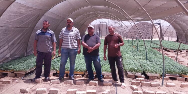 الزراعة تواصل فحص المشاتل