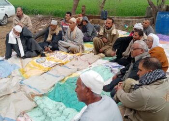 "مشروع ترشيد المياه".. ينظم 38 يوم حقلي لمحصول الأرز و 64 للذرة خلال شهر يوليو 4 مشروع ترشيد المياه يدرب المزارعين