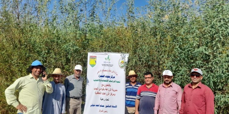 بحوث الصحراء ينفذ عدد من المدارس الحقلية بالوادي الجديد للحد من فجوة المحاصيل الزيتية 1 مركز بحوث الصحراء ينفذ مدارس حقلية بزراعة الوادي الجديد