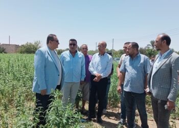 الزراعة تتفقد المشروعات الزراعية بسيناء وشرق القناة