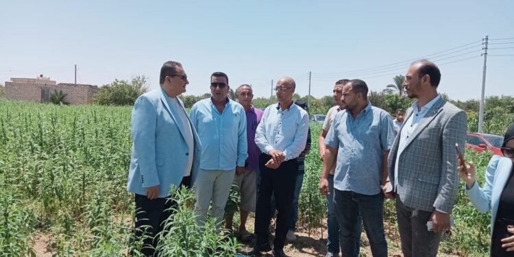 الزراعة تتفقد المشروعات الزراعية بسيناء وشرق القناة 1 الزراعة تتفقد المشروعات الزراعية بسيناء وشرق القناة