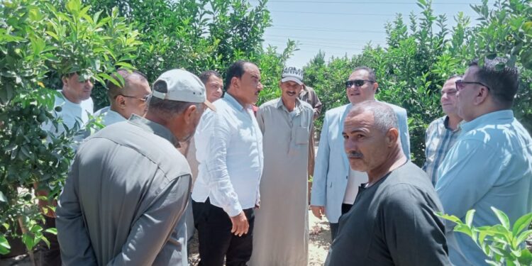 "الزراعة" تتفقد المشروعات الزراعية بسيناء وشرق القناة 1 الزراعة