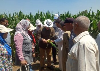 الفرق الإرشادية