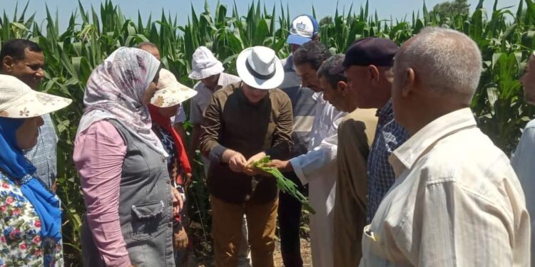 الفرق الإرشادية