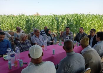 المركزية للإرشاد