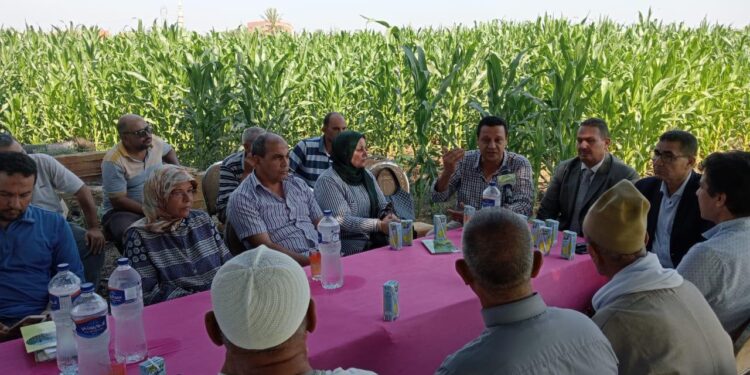 المركزية للإرشاد الزراعي تستعرض أنشطتها خلال شهر يوليو ٢٠٢٤ 1 المركزية للإرشاد