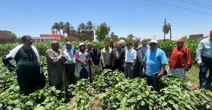 "الجايكا" يزور الحقول الإرشادية بمديرية زراعة سوهاج 1 الجايكا تتابع الحقول الإرشادية بمديرية زراعة سوهاج