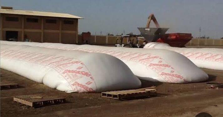 الصوامع الافقية أحد الحلول مع الأجولة البلاستيكية الحديثة لتخزين الحبوب