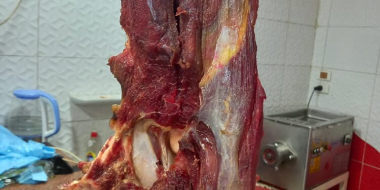 الخدمات البيطرية