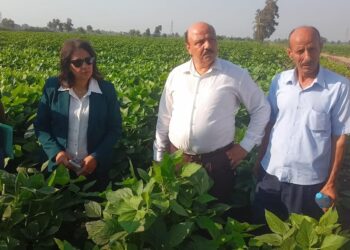 البحوث الزراعية