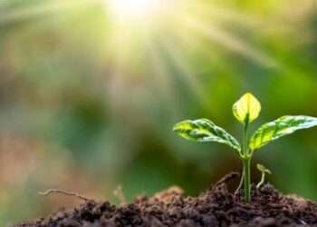 درجات الحرارة