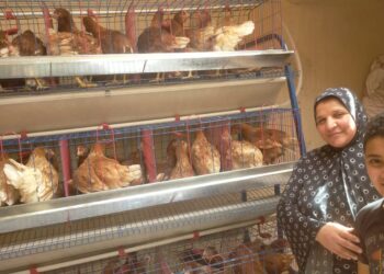 الزراعة تنفذ مشروعات تنموية بسيناء