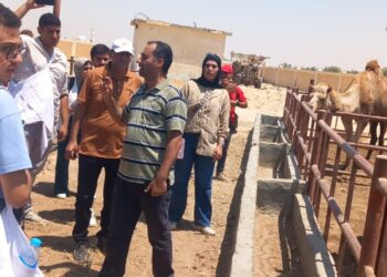 دورة تدريبة لطلاب جامعة الملك سلمان