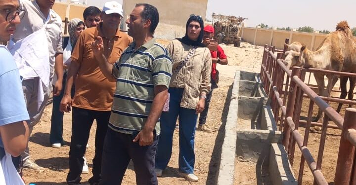 دورة تدريبية لطلاب بيطري لجامعة الملك سلمان بمحطة بحوث جنوب سيناء 1 دورة تدريبة لطلاب جامعة الملك سلمان