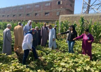 زراعة أسيوط