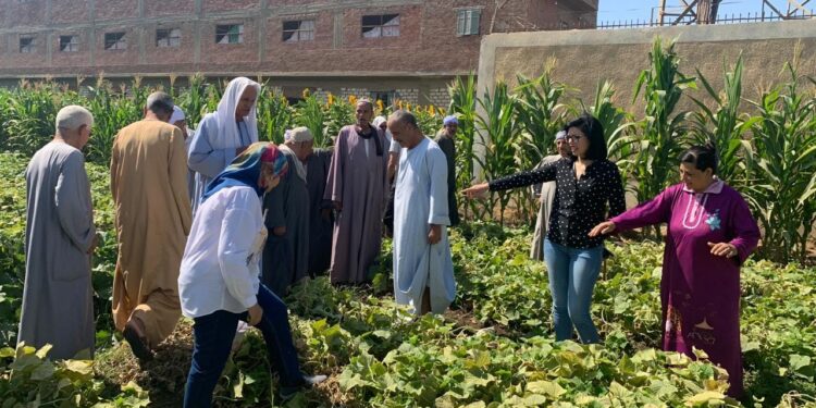 زراعة أسيوط تتابع الحقول الإرشادية بمشرع"ISMAP" بديروط..وتزيل حالة تعدي على الأرض الزراعية 1 زراعة أسيوط