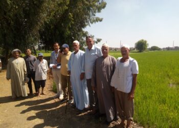 زراعة البحيرة