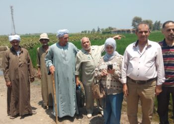 زراعة الشرقية تنظم فريق إرشادي بقرية أنشاص البصل