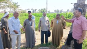 فريق إرشادي لمحاصيل الذرة الشامية والذرة الرفيعة بـزراعة الفيوم