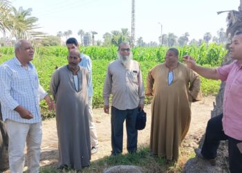 فريق إرشادي لمحاصيل الذرة الشامية والذرة الرفيعة بـزراعة الفيوم