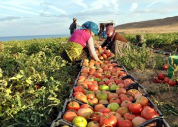 معهد بحوث البساتين