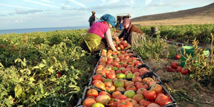 معهد بحوث البساتين