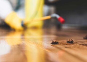 مبيدات الصحة العامة