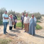 زيارة حقلية لمزارع الزيتون بقرية هوارة المقطع بزراعة الفيوم
